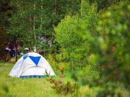 30333598-森林草原でキャンプのテント。コロラド州米国。青の要素を持つ小さな白いテントの中。